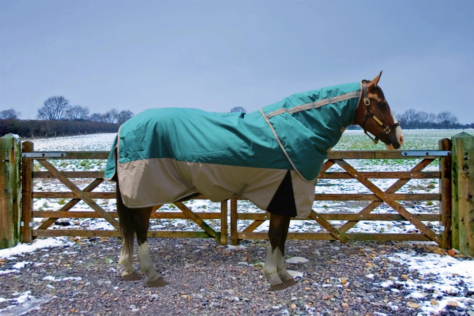 Horse Turnout Blanket - TuffRider Major 1200D Ballistic Medium Weight, view 8