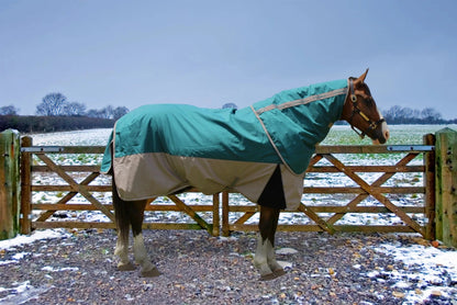 Horse Turnout Blanket - TuffRider Major 1200D Ballistic Medium Weight 220g Detachable Neck Two - Tone Winter Blanket - Pets Perfect