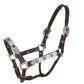 TuffRider Western Show Halter With Silver - Dark Brown - Horse with decorative silver accents and sturdy leather straps