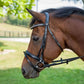 Horse wearing a black Henri de Rivel Diamonte Dressage Bridle outdoors near a wooden fence and green trees
