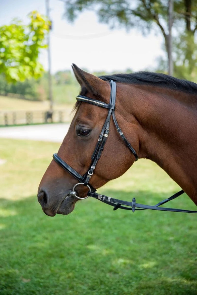 Horse wearing a black Henri de Rivel Clincher Bridle outdoors with green grass and trees in the background