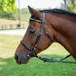Brown horse wearing a black Henri de Rivel Clincher Bridle outdoors on a sunny day with a blurred background