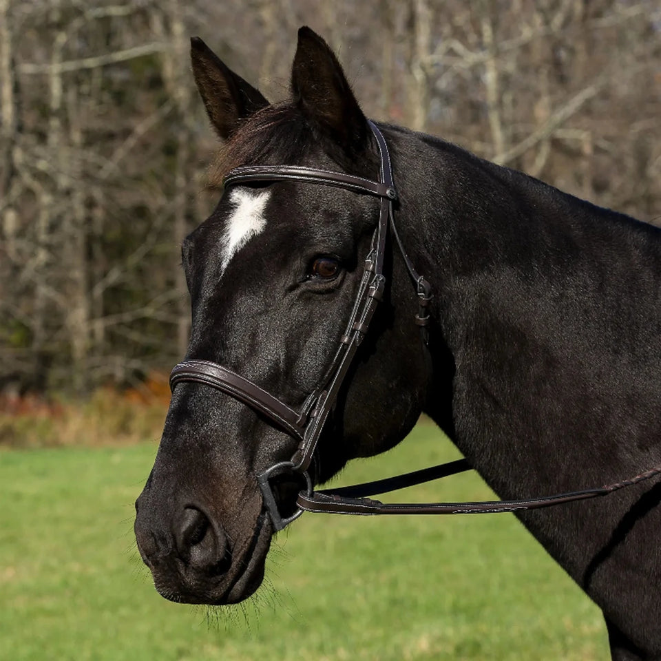 Henri de Rivel Pro Mono Crown Bridle with Padded Wide Noseband and, view 12