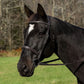 Black horse wearing Henri de Rivel Pro Mono Crown Bridle with Padded Wide Noseband and Laced Reins Hunter Show Bridle with Fancy Stitching