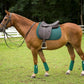 Chestnut horse wearing a green saddle pad and Henri De Rivel Jaipur Polo Saddle on a grassy field with white fence