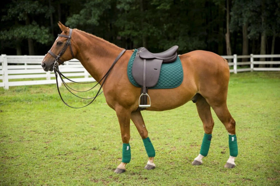 Henri De Rivel Jaipur Polo Saddle, view 9