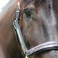 Henri de Rivel Padded Jewel Halter - Premium Leather Horse Halter with Jewel Inlay and Contrast Stitching on brown horse outdoors