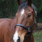 Chestnut horse wearing Everyday Leather Halter - Adjustable Horse Halter with Nameplate Space in outdoor natural setting