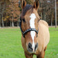 Horse wearing Embroidered Leather Horse Halter - Premium Crown Pattern Halter with Adjustable Fit in an outdoor grassy area