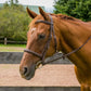 Chestnut horse wearing Henri de Rivel Kushy Raised Fancy Stitched Bridle - Padded Comfort Bridle with Laced Reins outdoors