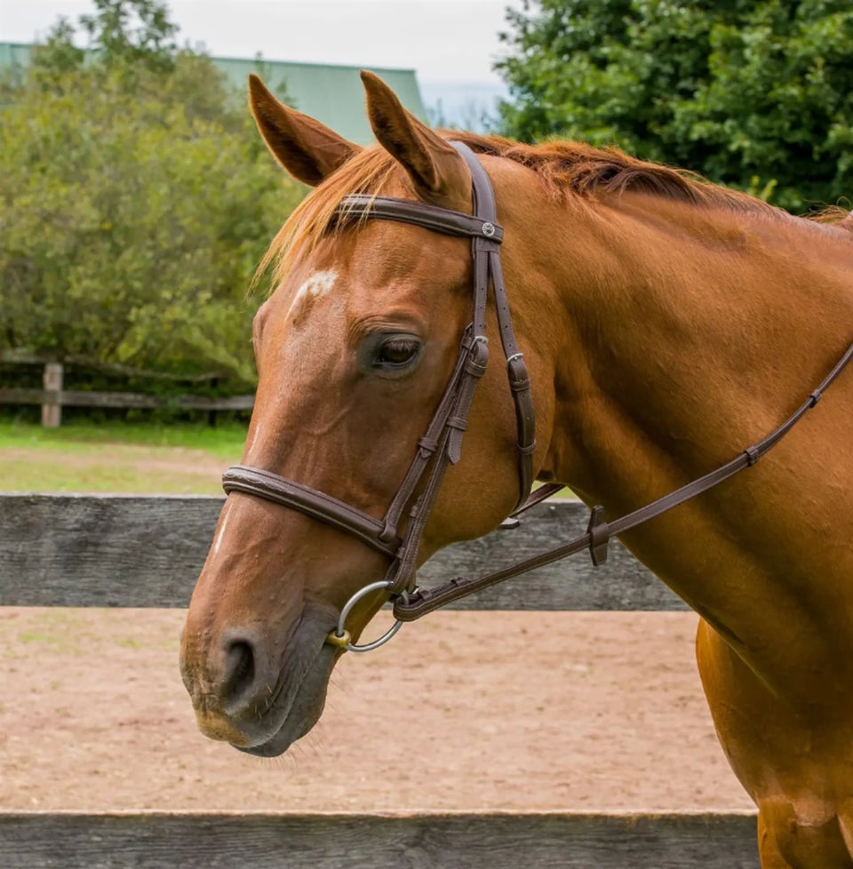 Henri de Rivel Kushy Raised Fancy Stitched Bridle, view 7