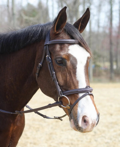 Henri de Rivel Kushy Bridle with Detachable Flash, Havana/COB