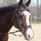 Horse wearing Henri de Rivel Kushy Bridle with Detachable Flash - Soft Padded Comfort Bridle with Mono Crown & Laced Reins outdoors