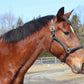 Horse wearing Lightweight Leather Halter - Kushy Halter with Adjustable Fit outdoors near trees and fencing