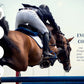 Henri De Rivel Regular Evolution Close Contact Saddle - Color: Havana | Pack Of: 1 | Shape: Regular shown on horse jumping