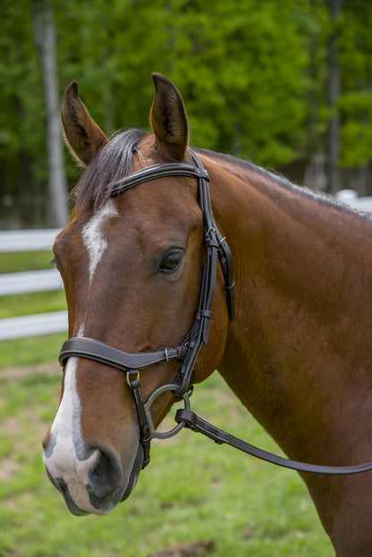 Horse wearing a brown Henri de Rivel Pro Anatomical Bridle outdoors with green trees and white fence background