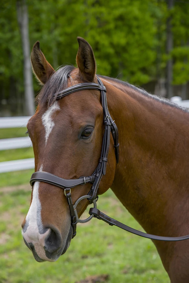 Henri de Rivel Pro Anatomical Bridle, view 2