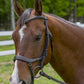 Close-up of a horse wearing a brown Henri de Rivel Pro Anatomical Bridle in an outdoor setting with greenery.