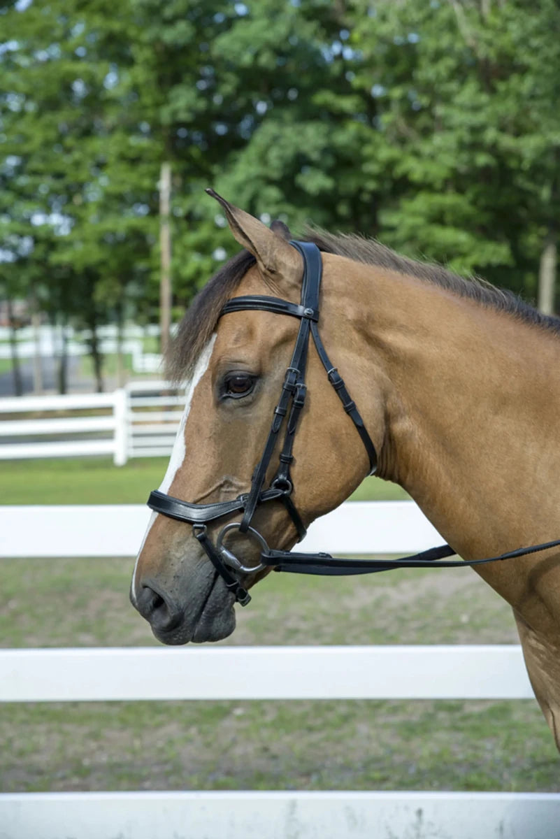 Henri de Rivel Pro Anatomical Bridle, view 5