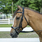Horse wearing Henri de Rivel Pro Anatomical Bridle in outdoor paddock with white fencing and trees in background
