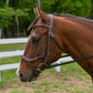 Horse wearing Henri de Rivel Pro Anatomical Bridle - Australian Nut - Oversize in outdoor setting with green trees and white fence.
