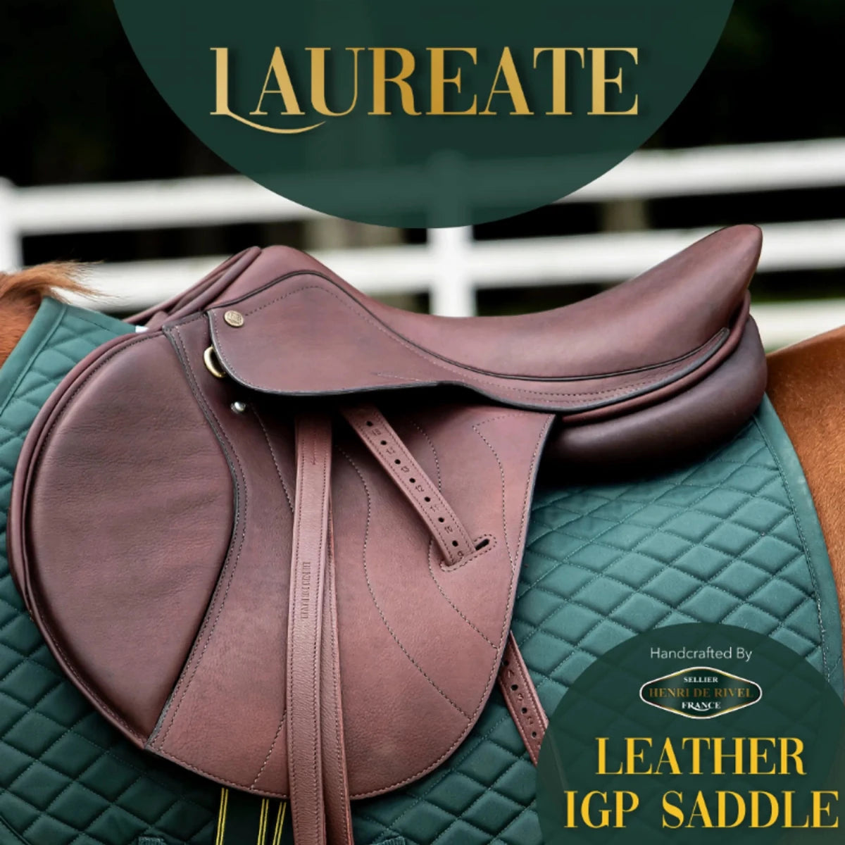 Henri De Rivel Laureate Leather IGP Saddle on green quilted saddle pad on a horse standing by white fence