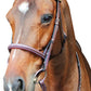 Horse wearing Horse Bridle - Henri de Rivel Pro Fancy Raised Comfort Crown Padded Bridle with Fancy Raised Reins designed for comfort.