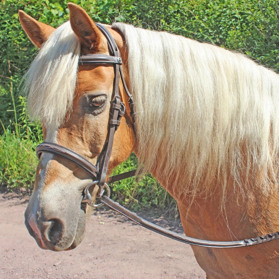 Horse Bridle - Henri de Rivel Pro Fancy Raised Comfort Crown Padded, view 10