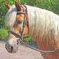 Horse wearing Horse Bridle - Henri de Rivel Pro Fancy Raised Comfort Crown Padded Bridle with Fancy Raised Reins outdoors