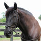 Patent Leather Horse Bridle - Padded Monocrownpiece Bridle with Flash Noseband and Rubber Reins on brown horse outdoors.