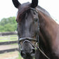 Black horse wearing Patent Leather Horse Bridle - Padded Monocrownpiece Bridle with Flash Noseband and Rubber Reins outdoors