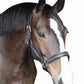 Horse wearing Padded Crystal Halter - Luxury Leather Halter with Sparkling Crystals, black leather with crystal detailing.