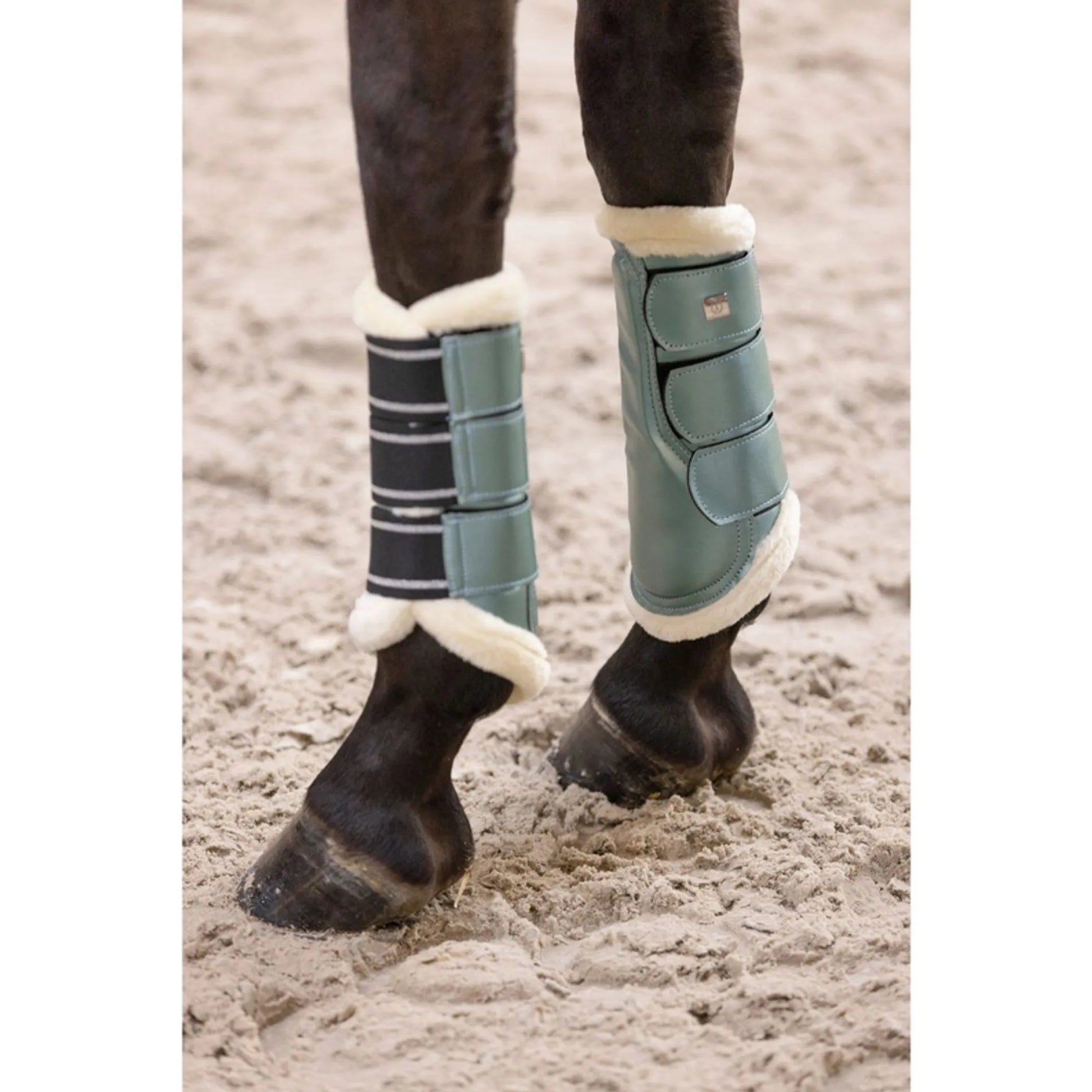 Imperial Riding Brushing Boots IRHLovely in green with fleece lining on a horse’s legs for protection and support.