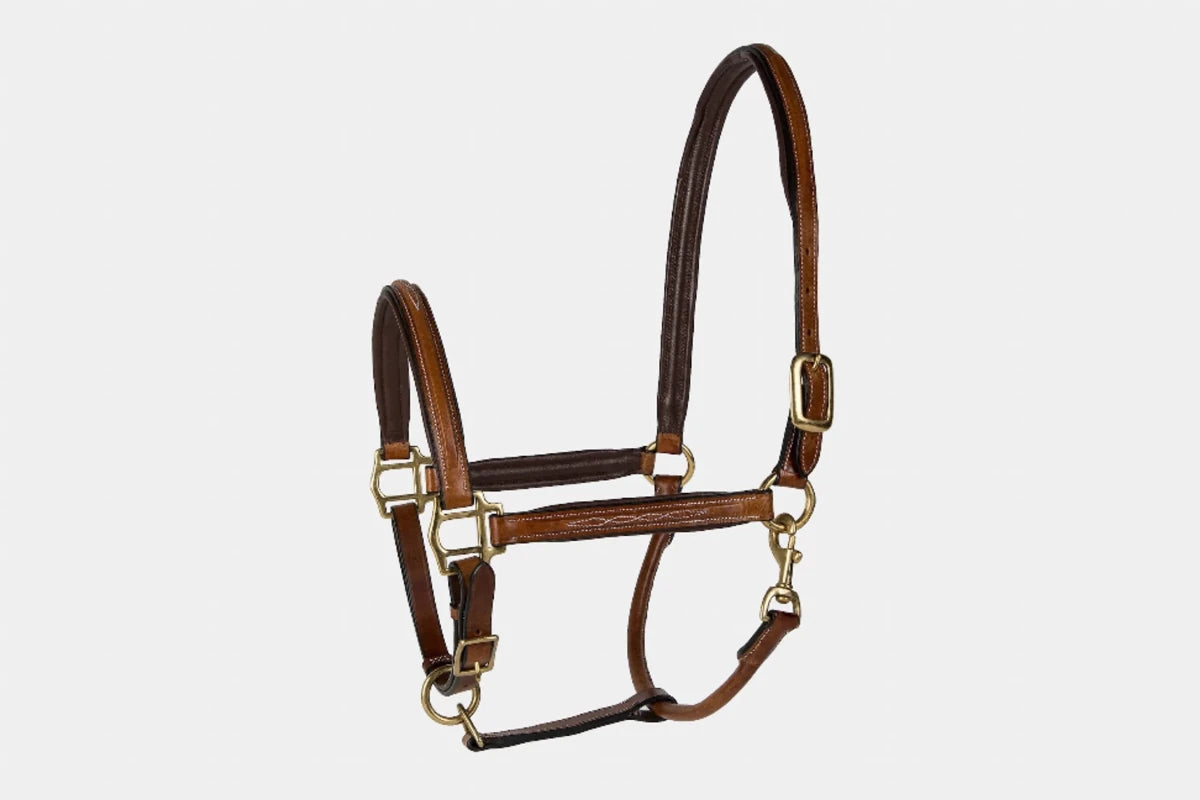 Lettia Padded Leather Halter with Fancy Stitching in brown leather with gold-tone hardware for equestrian use