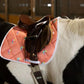 Lettia Toucan All Purpose Pad in coral with toucan print under a brown leather saddle on a horse