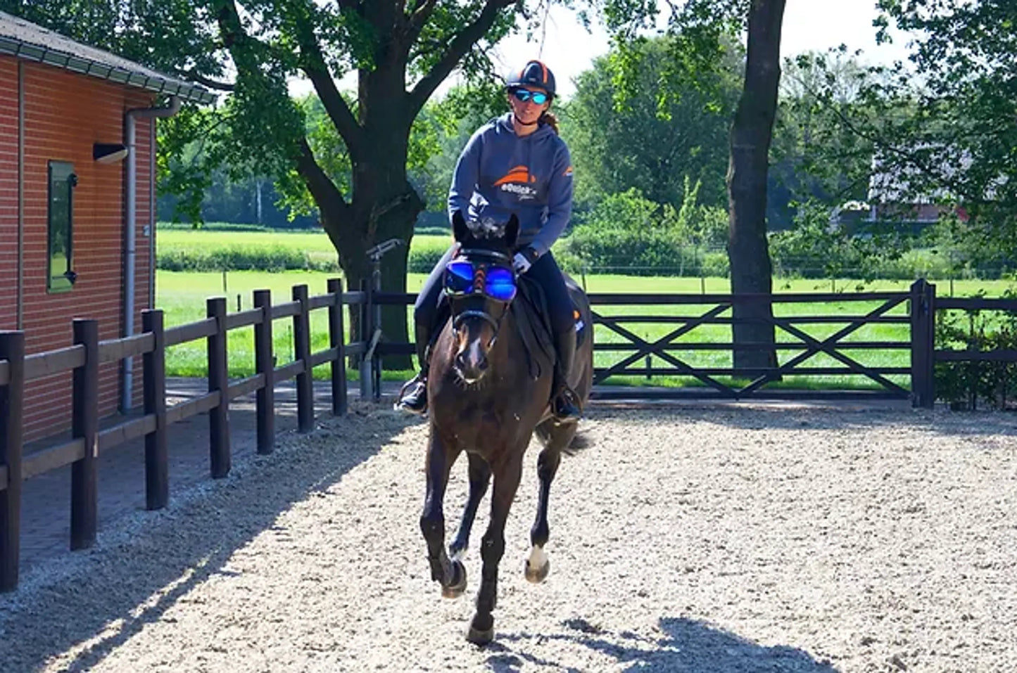 Rider wearing eQuick eVysor transparent reflective gear on horse in outdoor fenced arena on sunny day