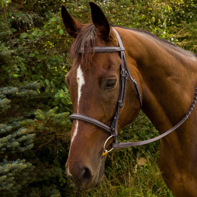 Henri de Rivel Advantage Fancy Raised Padded Bridle, Havana/COB