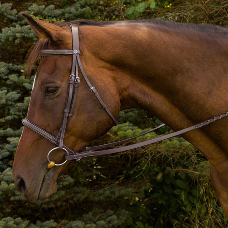 Henri de Rivel Advantage Fancy Raised Padded Bridle, view 9