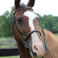 Horse wearing Fancy Raised Bridle - Quality Leather Bridle with Laced Reins in an outdoor setting near a fence.
