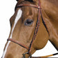 Horse wearing Fancy Raised Bridle - Quality Leather Bridle with Laced Reins in brown leather, close up on head.