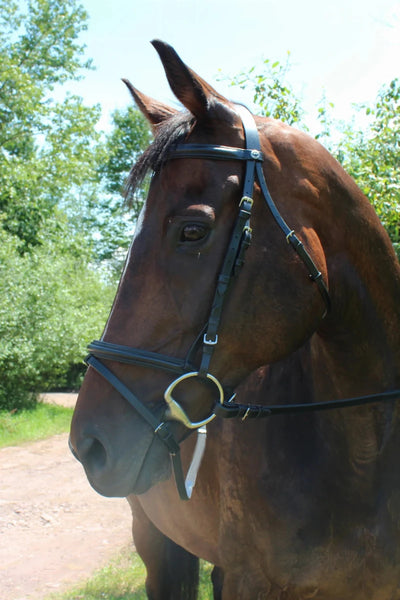 Dressage Bridle - Henri de Rivel Pro Padded Dressage Bridle with, Black/black/COB