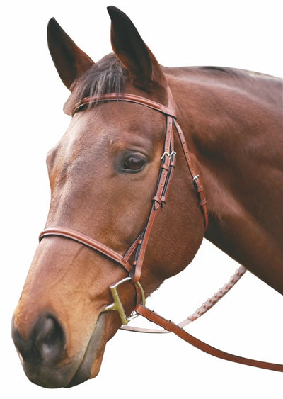 Henri de Rivel Advantage Plain Raised Snaffle Bridle With Laced Reins