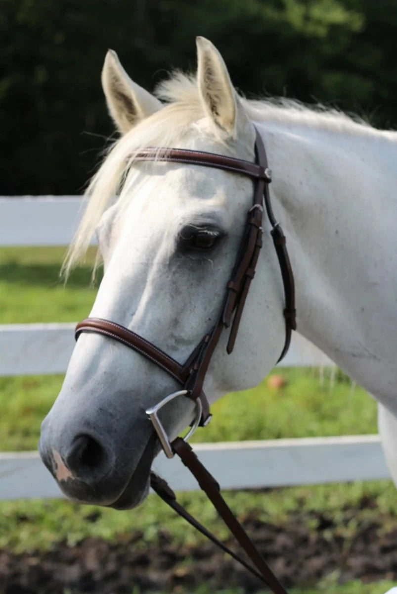 Plain Raised Bridle - Affordable Leather Bridle with Laced Reins, view 9