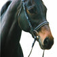 Horse wearing Dressage Bridle - Henri de Rivel Pro Padded Dressage Bridle with Web Reins for Horses in a side profile view