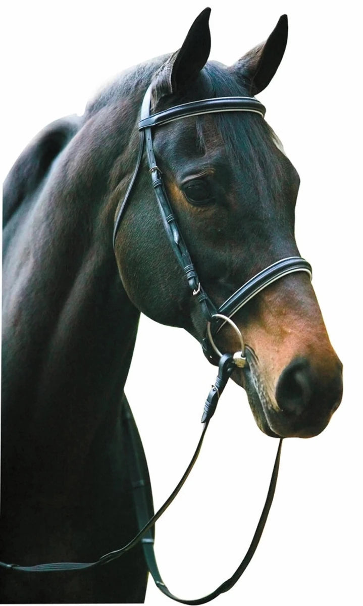Dressage Bridle - Henri de Rivel Pro Padded Dressage Bridle with Web, view 7