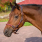 Brown horse wearing a Henri de Rivel Leather Rope Halter outdoors near a red barn background