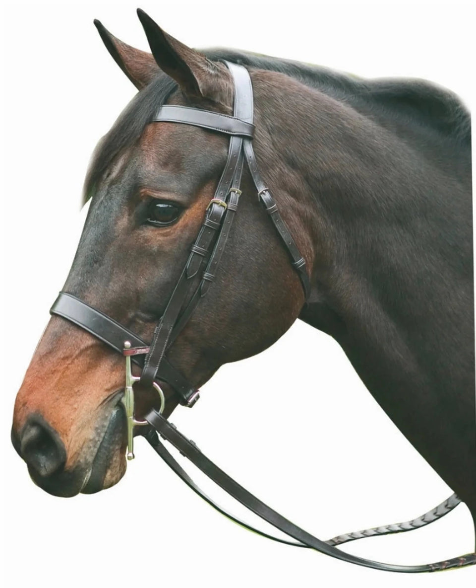 Henri de Rivel Advantage Hunt Bridle, view 6