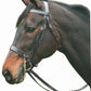 Horse wearing Henri de Rivel Advantage Hunt Bridle - Premium Leather Foxhunting Bridle with Laced Reins in dark brown leather