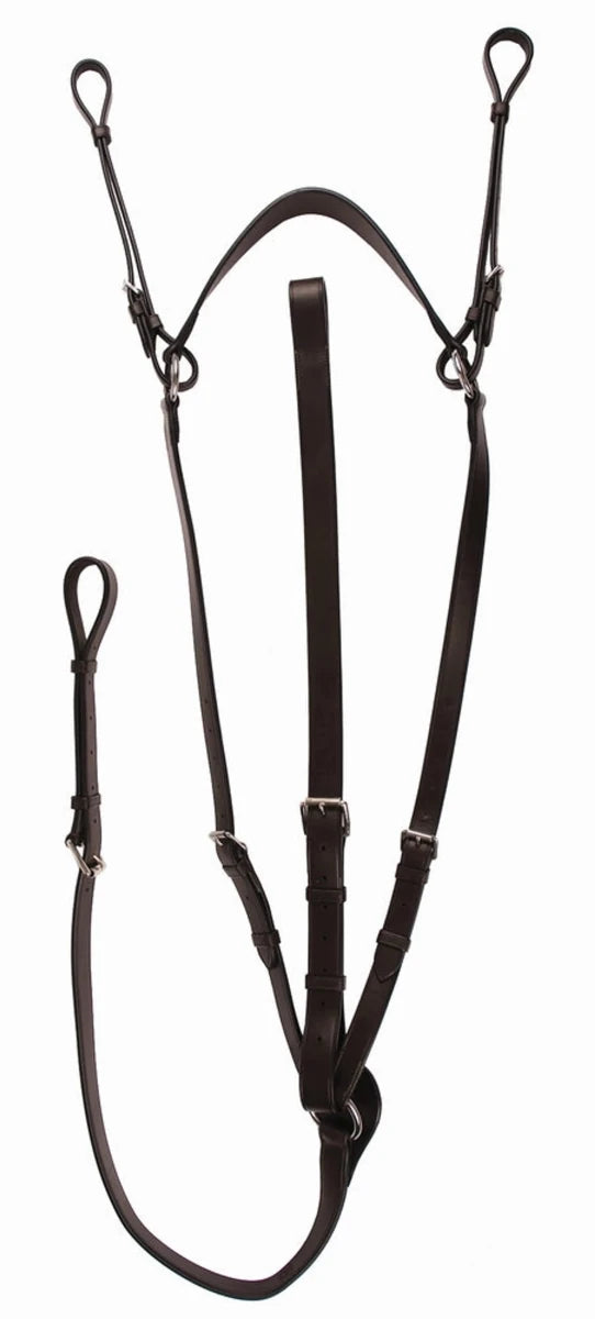 Henri de Rivel Advantage Flat Breastplate Martingale with Standing, Havana/COB