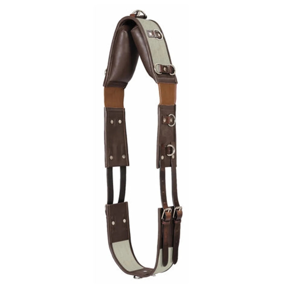 Horse Training Surcingle - Henri de Rivel Webbing and Leather Training, Grey/1